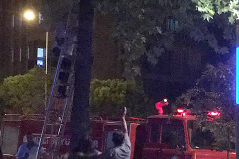 Çıktı, inemedi görev itfaiye ekibine düştü