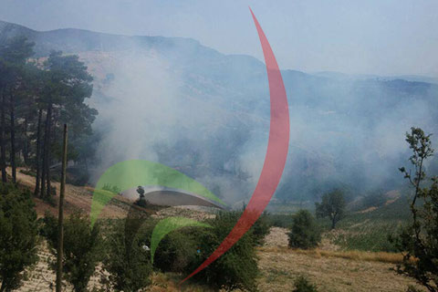 Kale’de orman yangını