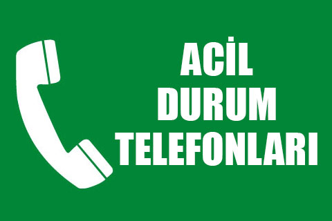 Bu numaraları not edin