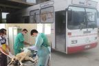 Buldan’da sokak köpekleri kısırlaştırılıyor