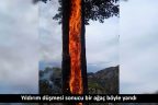 Çameli’de yıldırım orman yangını çıkardı