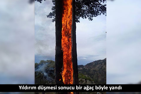 Çameli’de yıldırım orman yangını çıkardı