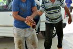 Bu kurs acemi kasaplar için