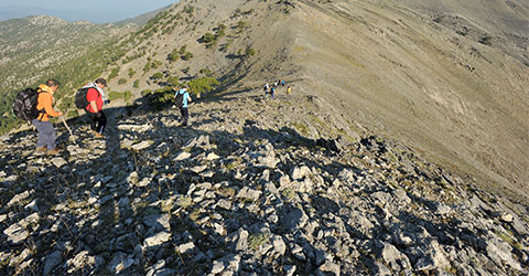 denizli-zeki-akakca-tepe-kuyu-ereni-17