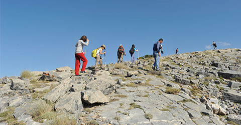 denizli-zeki-akakca-tepe-kuyu-ereni-20