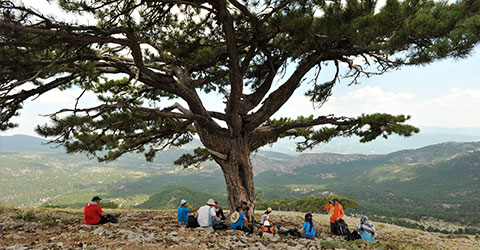 denizli-zeki-akakca-tepe-kuyu-ereni-31