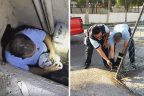 İtfaiye hayvanlar için seferber oldu
