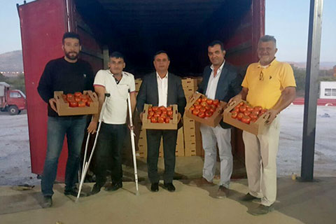 Çal’ın rekortmen domateslere Gürcistan’a gitti
