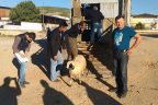 Genç çiftçilere hayvancılık desteği