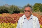 Çivrilli üretici perişan, elma para etmiyor