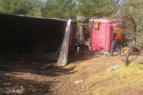 Üzüm yüklü TIR’ın freni patladı
