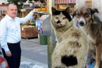 Bayat ekmek kampanyası genişliyor