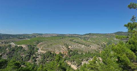 denizli-zeki-akakca-gezenin-gunlugu-sazakta-yurumek-1