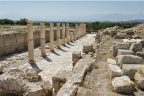 Tripolis’e ilgi artıyor