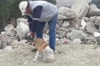 Afacan köpek kafasını bidona sıkıştırdı