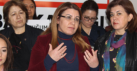 denizli-chp-ak-parti-tbmm-tecavuz-taciz-gulizar-bicer-karaca