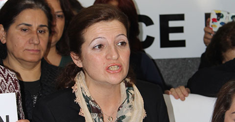 denizli-chp-ak-parti-tbmm-tecavuz-taciz-melike-basmaci