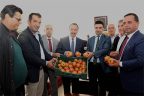 PAÜ yönetiminin Çal çıkarması