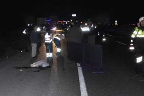 Yol kenarında ölü olarak bulundu