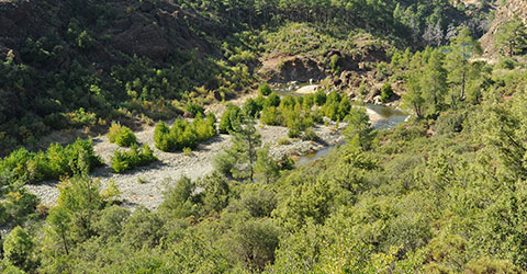 denizli-zeki-akakca-akcay-vadisine-yuruyus-14