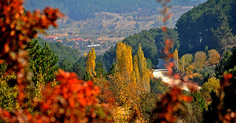 denizli-zeki-akakca-gezenin-gunlugu-sonbahar-1