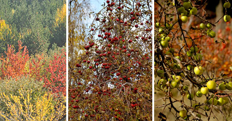 denizli-zeki-akakca-gezenin-gunlugu-sonbahar-14