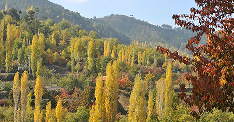 denizli-zeki-akakca-gezenin-gunlugu-sonbahar-9