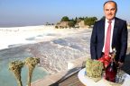 Gürlesin’den Pamukkale’ye yatırım çağrısı