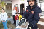 İtfaiye ekipleri hayat kurtarmayı sürdürüyor