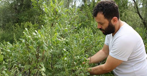 denizli-aktar-faruk-demirkollu-ses-getirecek-calisma-engin-unal-anlatti-1