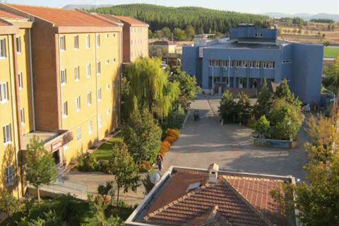 Hükümlüler meslek sahibi olacak
