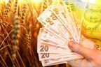 Kırsal kalkınma yatırımları desteği başvuru süresi uzatıldı