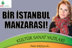 BİR İSTANBUL MANZARASI!