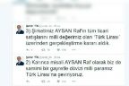 Tin’den Türk lirası desteği