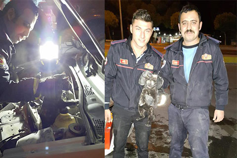 Sarayköy’de itfaiyeden kedi operasyonu