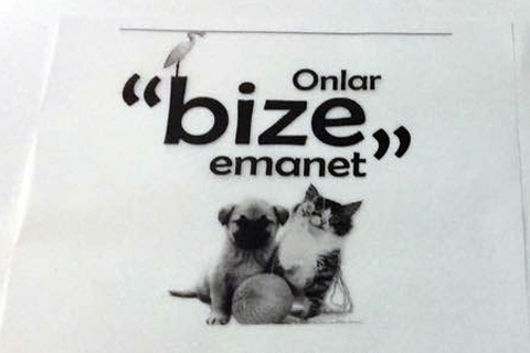 Sokak hayvanları için çalıp söyleyecekler