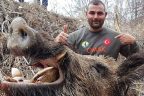 Çal canavarı 200 kiloluk domuz vuruldu