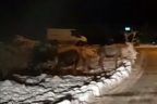 Aç kalan geyikler şehre indi