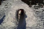 Çameli’de kardan Eskimo evi