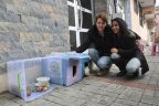 Hacıkaplanlar’da kedi evi tartışması BİMER’e taşındı