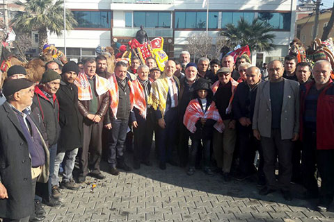 Sarayköy deve güreşlerine hazır