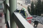 Yavru kedi için seferber oldular