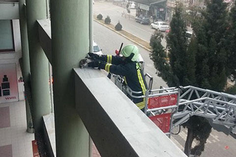 Yavru kedi için seferber oldular