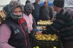 Çameli elması Irak yolcusu