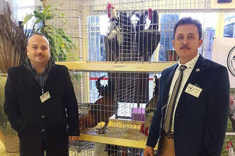Denizli Horozu tutkunları buluştu