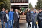 Son koyunlar da geldi