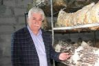 Hobi olsun diye mantar üretti, şimdi yatırım yapacak
