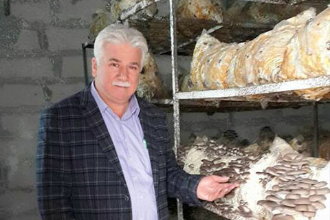 Hobi olsun diye mantar üretti, şimdi yatırım yapacak