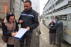Küçükbaş hayvan dağıtımı devam ediyor
