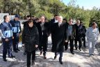 Tavas, kent ormanı ile nefes alacak